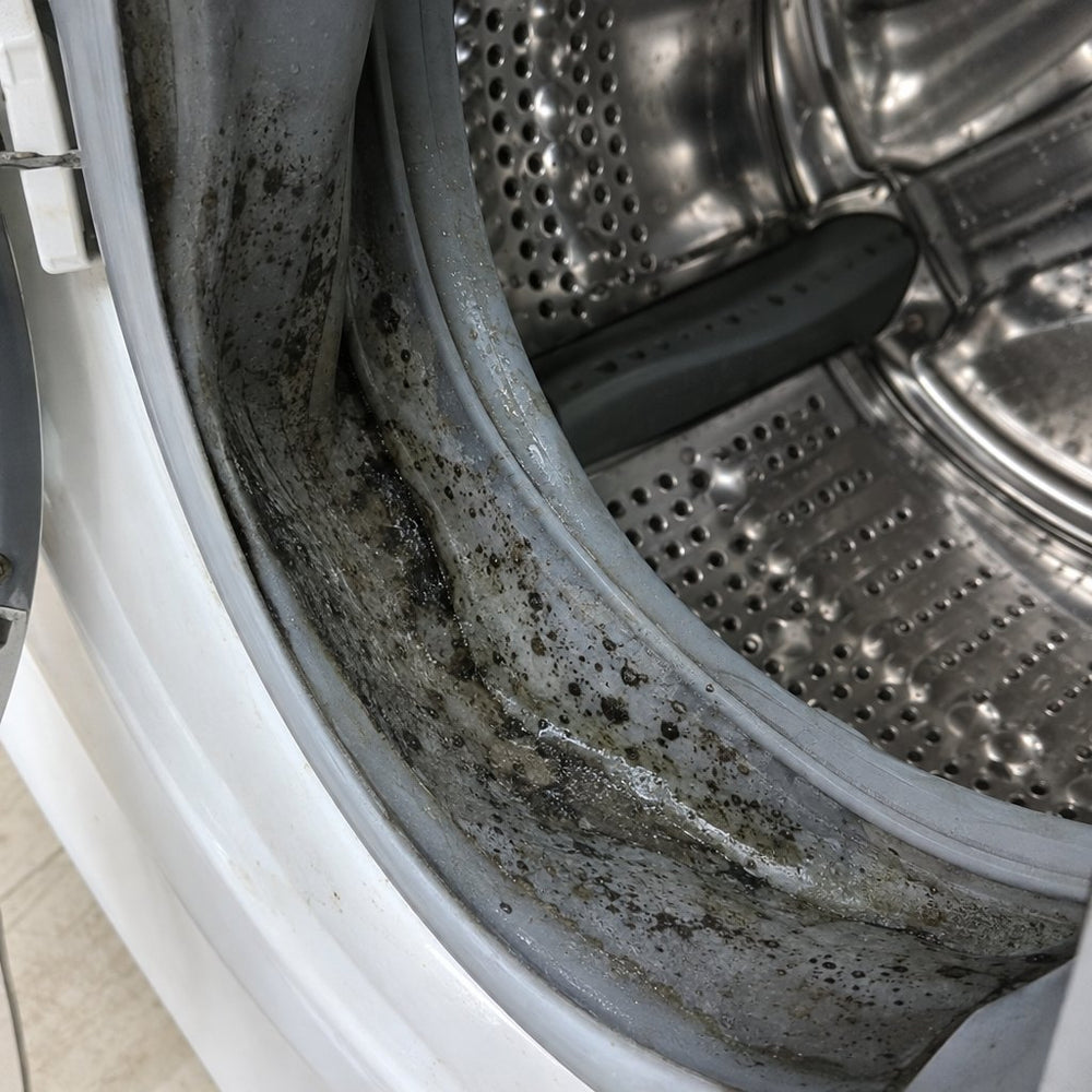Interno della lavatrice